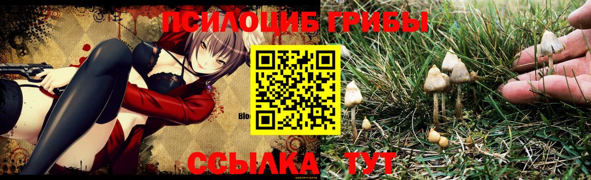 Галлюциногенные грибы Psilocybine cubensis  Галлюциногенные грибы MAGIC MUSHROOMS  Набережные Челны  Вход с VPN 