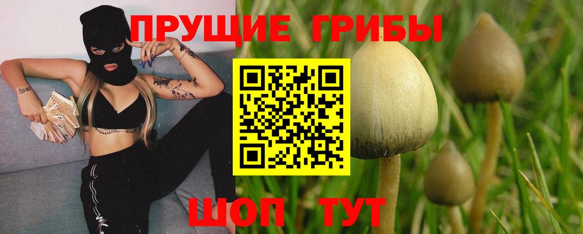 Галлюциногенные грибы прущие грибы Набережные Челны